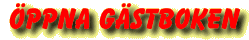 ppna gstboken